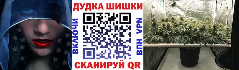 МАРИХУАНА ГИДРОПОН купить наркотики цена Щёлкино